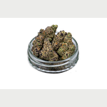 OGee Crasher Bulk Flower by Common Citizen