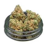 Blue Dream Bulk Flower by Common Citizen