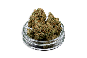 Hollywood Ghost Bulk Flower by Common Citizen