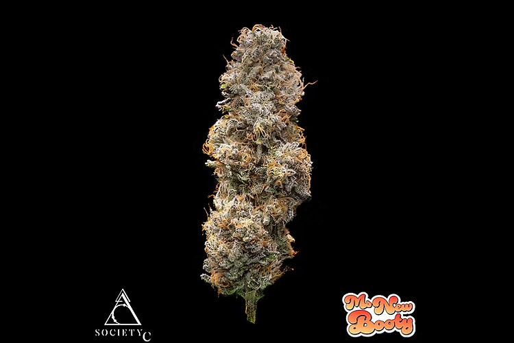Society C | Ms. New Booty Prepackaged Flower | 3.5g by Society C