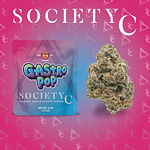 Society C | Gastro Pop Prepackaged Flower | 3.5g by Society C