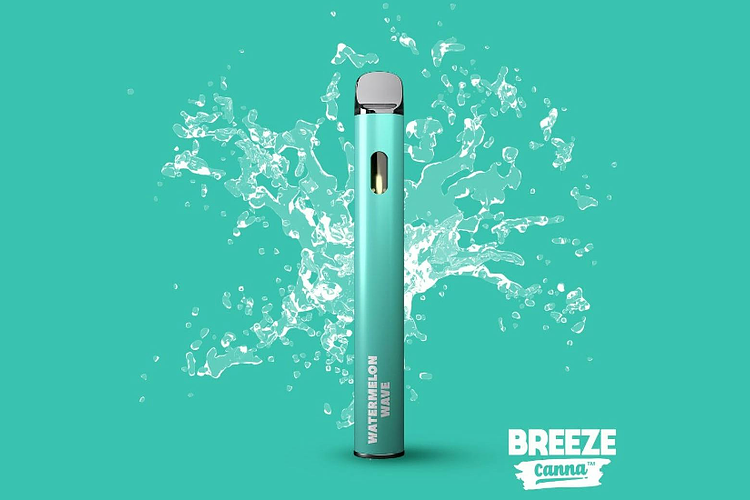 Watermelon Wave Disposable Vape | 1g by Breeze