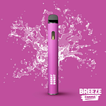 Berry Burst Disposable Vape | 1g by Breeze
