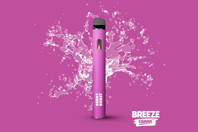 Berry Burst Disposable Vape | 1g by Breeze
