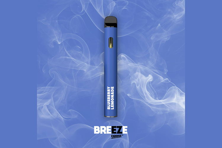 Blueberry Lemonade Disposable Vape | 1g by Breeze