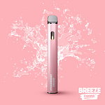 Strawberry Cream Disposable Vape | 1g by Breeze