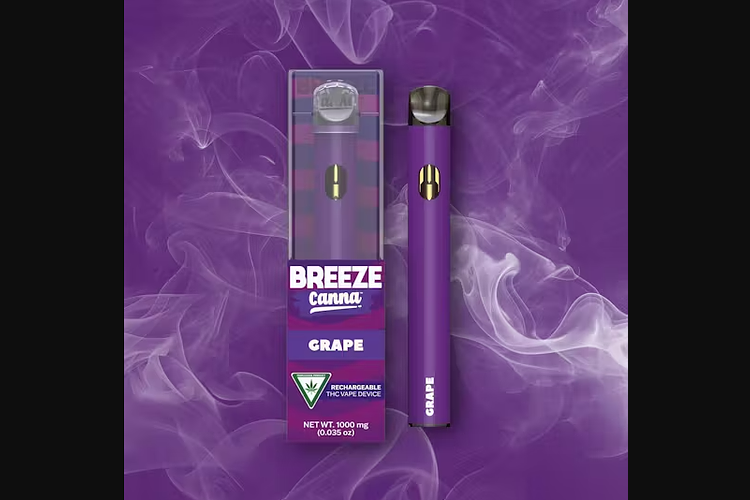 Grape Disposable Vape | 1g by Breeze