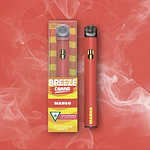Mango Disposable Vape | 1g by Breeze