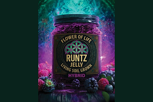 Flower Of Life | Runtz Jelly Pre-Roll | 1g by Flower Of Life