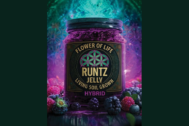 Flower Of Life | Runtz Jelly Pre-Roll | 1g by Flower Of Life