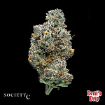 Devil's Drip Bulk Flower by Society C