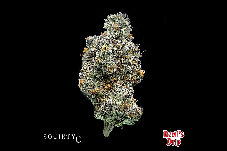 Devil's Drip Bulk Flower by Society C