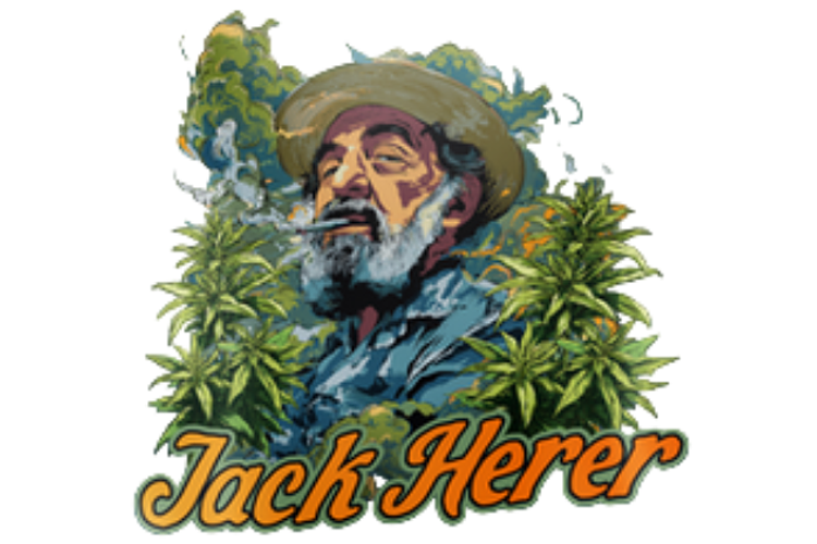 Shake | Grown Rogue | Jack Herer Bulk Shake by Grown Rogue