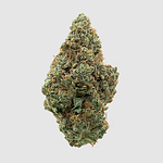Society C | Headband Bulk Flower by Society C