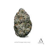 Society C | Blue Nerdz Bulk Flower by Society C