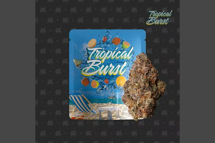 Tropical Burst Prepackaged Flower | 3.5g by Seed Junky