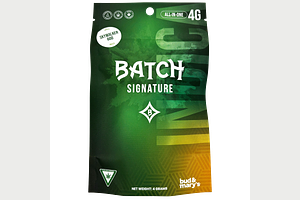 Batch | Skywalker 600 All-In-One Vape | 4g by BATCH