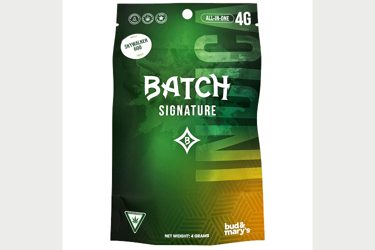Batch | Skywalker 600 All-In-One Vape | 4g by BATCH