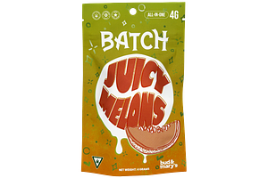 Batch | Juicy Melons All-In-One Vape | 4g by BATCH