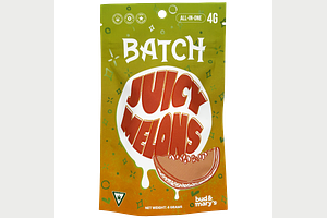 Batch | Juicy Melons All-In-One Vape | 4g by BATCH