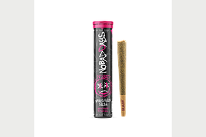 Watermelon Rush Infused Pre-Roll | 1.2g by No Bad Days