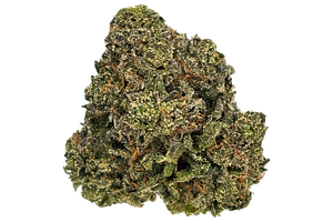 Grown Rogue | Pink Lady Bulk Flower by Grown Rogue
