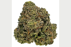 Grown Rogue | Pink Lady Bulk Flower by Grown Rogue