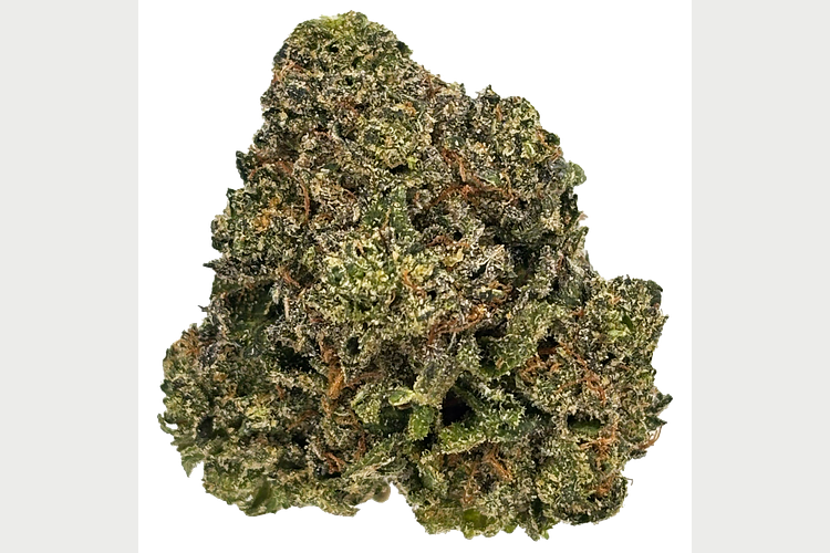 Grown Rogue | Pink Lady Bulk Flower by Grown Rogue