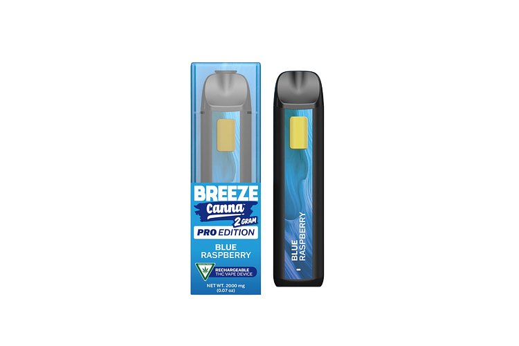 Breeze Pro | Blue Raspberry Disposable Vape | 2g by Breeze
