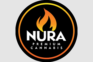 NURA | Blueberry Cruffin Bulk Flower by NURA