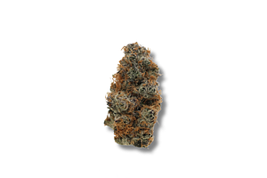 Freedom Green | Black Amber Bulk Flower by Freedom Green