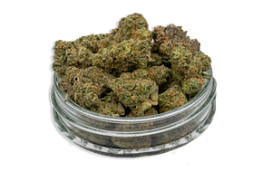 Gary Satan Bulk Flower by Common Citizen