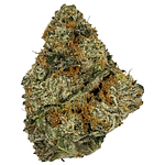 Freedom Green | Bubble Gum Cake Bulk Flower by Freedom Green