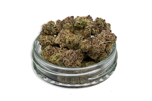 Purple Pop Bulk Flower (Smalls) by Common Citizen