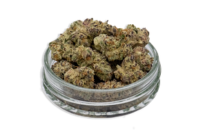 Dante's Inferno Bulk Flower (Smalls) by Common Citizen