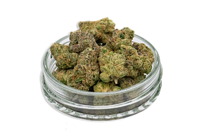 Common Citizen | Z Lato Bulk Flower (Smalls) by Common Citizen