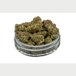 Gary Satan Bulk Flower (Smalls) by Common Citizen
