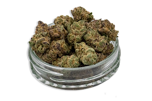 Forbidden Fruit Bulk Flower (Smalls) by Common Citizen