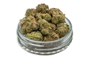 Common Citizen | Candyland Bulk Flower (Smalls) by Common Citizen