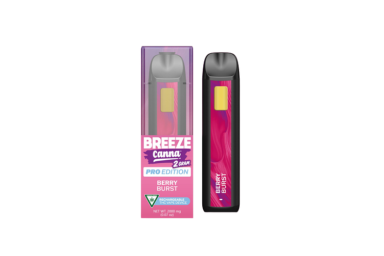 Breeze Pro | Berry Burst Disposable Vape | 2g by Breeze