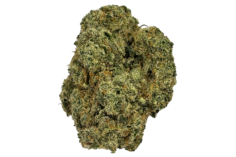 Fiesta Bulk Flower by Pure Clouds