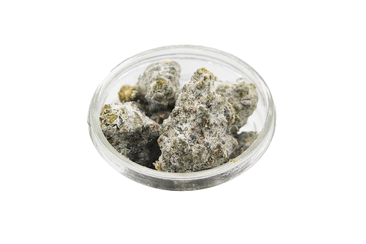 Candyland Bulk Moonrocks by Zootiez