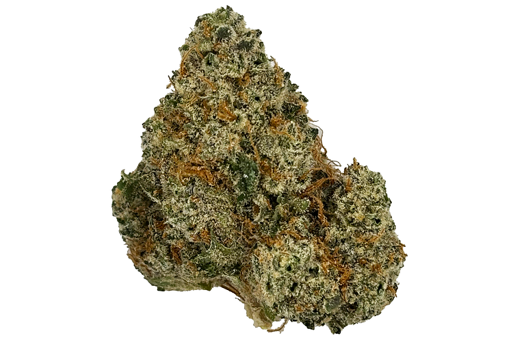 Sherb Cocktail Bulk Flower by Freedom Green