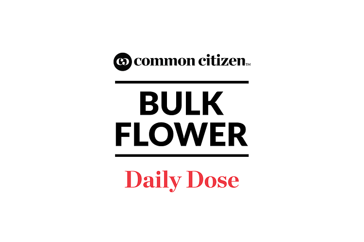 OG Cookies Bulk Flower (Smalls) by Common Citizen