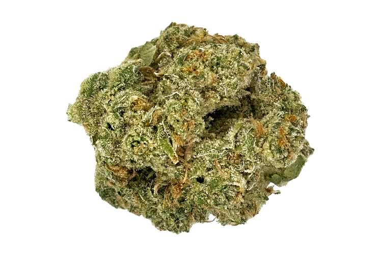 Grown Rogue | Jack Herer Bulk Flower by Grown Rogue