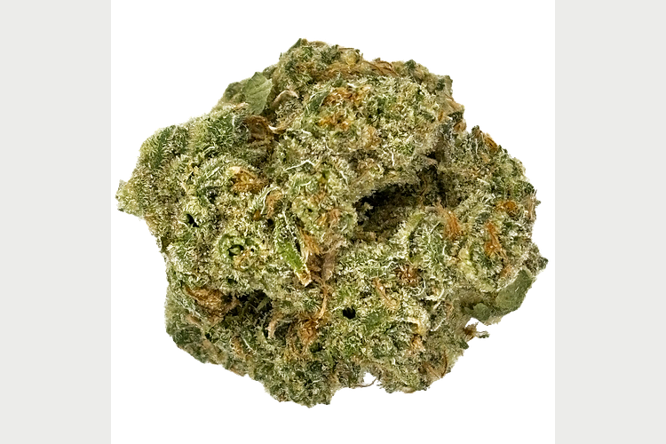 Grown Rogue | Jack Herer Bulk Flower by Grown Rogue