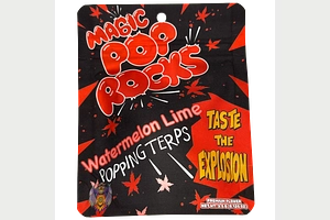 Magic Pop Rocks Prepackaged Flower | 3.5g by Michigander Fire