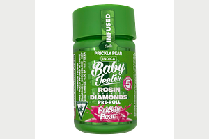 Prickly Pear Infused Pre-Roll Pack | 5x0.5g | 2.5g by Jeeter
