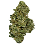 Monkey Bread Bulk Flower by Common Citizen