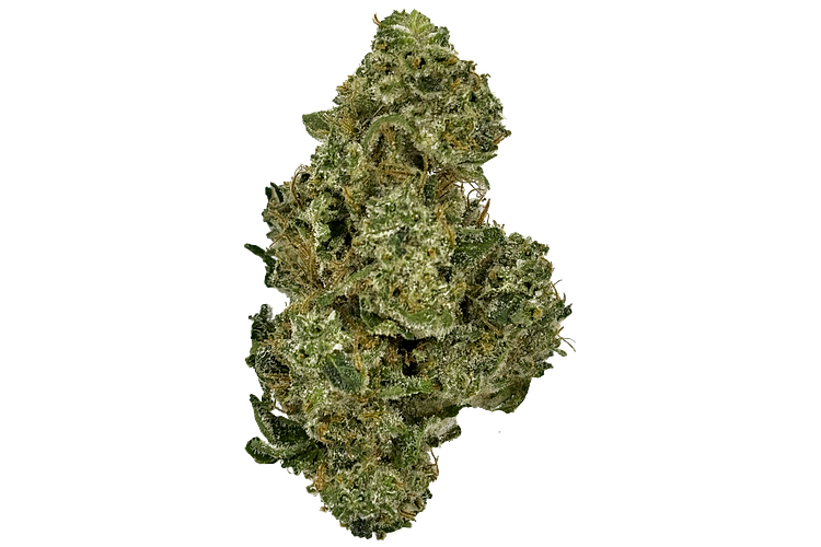 Monkey Bread Bulk Flower by Common Citizen